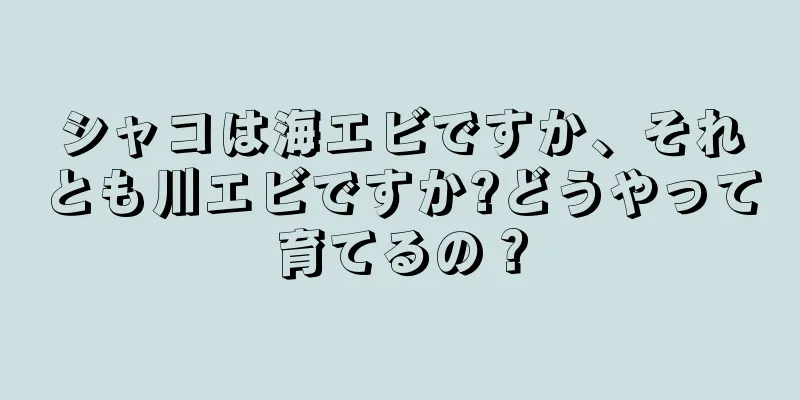 シャコは海エビですか、それとも川エビですか?どうやって育てるの？