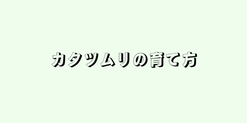 カタツムリの育て方
