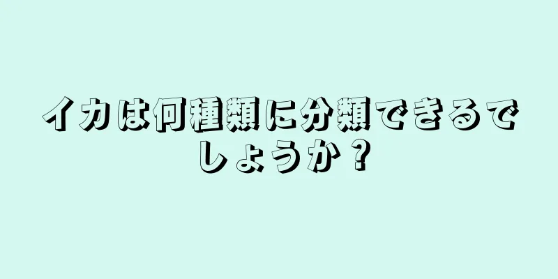 イカは何種類に分類できるでしょうか？