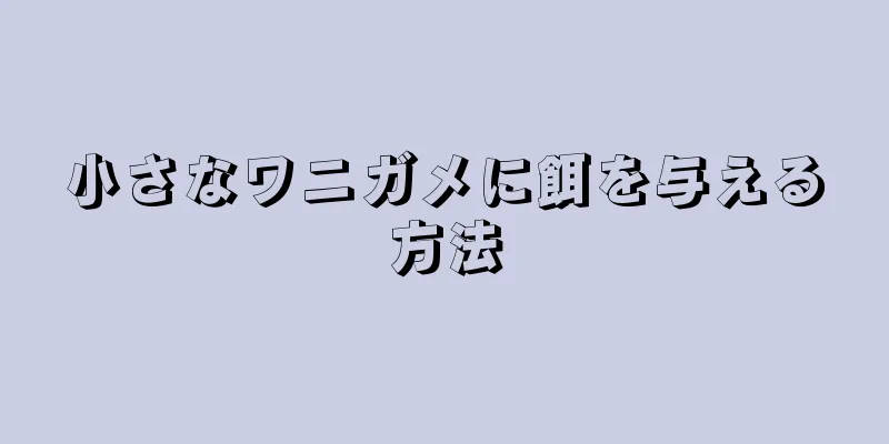 小さなワニガメに餌を与える方法