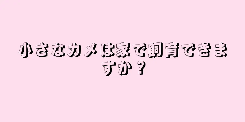 小さなカメは家で飼育できますか？