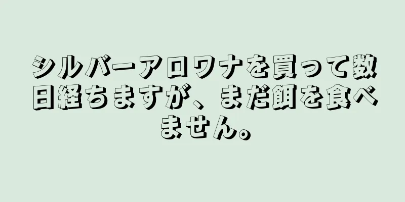 シルバーアロワナを買って数日経ちますが、まだ餌を食べません。