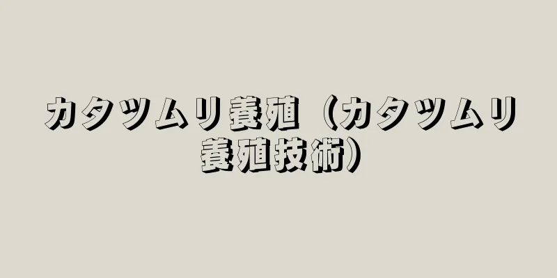 カタツムリ養殖（カタツムリ養殖技術）