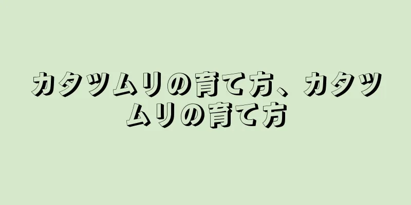 カタツムリの育て方、カタツムリの育て方