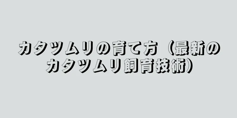 カタツムリの育て方（最新のカタツムリ飼育技術）