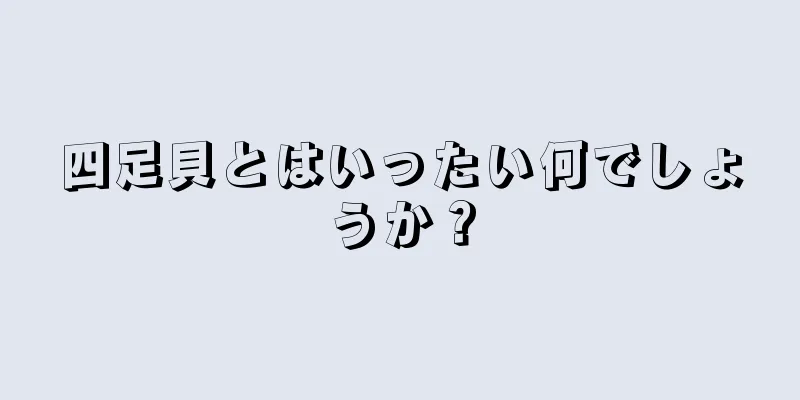 四足貝とはいったい何でしょうか？