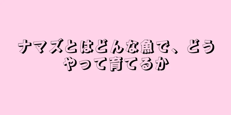 ナマズとはどんな魚で、どうやって育てるか