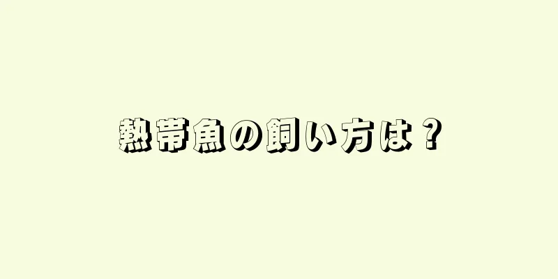熱帯魚の飼い方は？