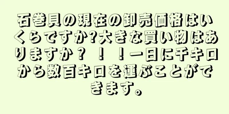 石巻貝の現在の卸売価格はいくらですか?大きな買い物はありますか？ ！ ！一日に千キロから数百キロを運ぶことができます。