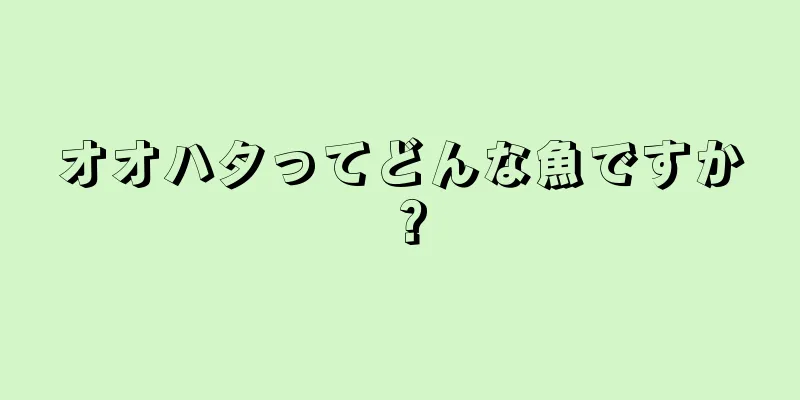 オオハタってどんな魚ですか？
