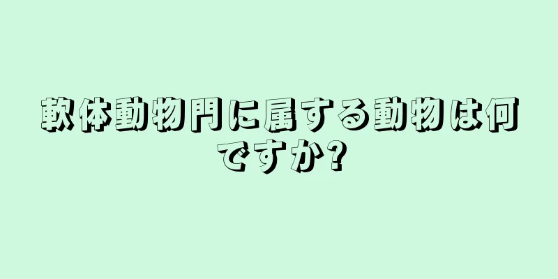 軟体動物門に属する動物は何ですか?