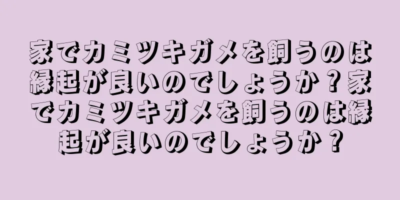 家でカミツキガメを飼うのは縁起が良いのでしょうか？家でカミツキガメを飼うのは縁起が良いのでしょうか？