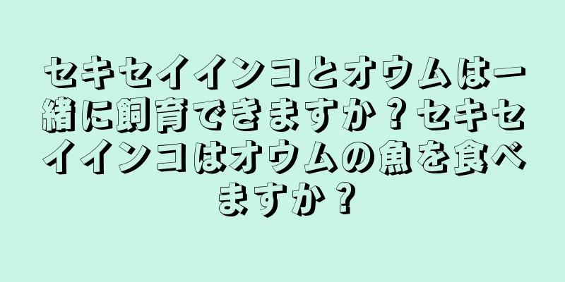 セキセイインコとオウムは一緒に飼育できますか？セキセイインコはオウムの魚を食べますか？