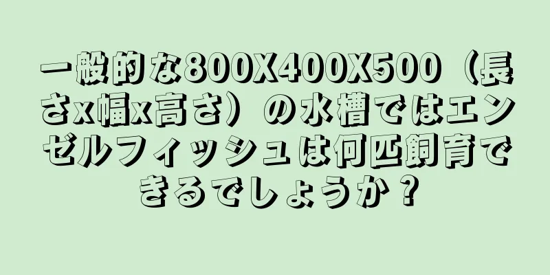一般的な800X400X500（長さx幅x高さ）の水槽ではエンゼルフィッシュは何匹飼育できるでしょうか？