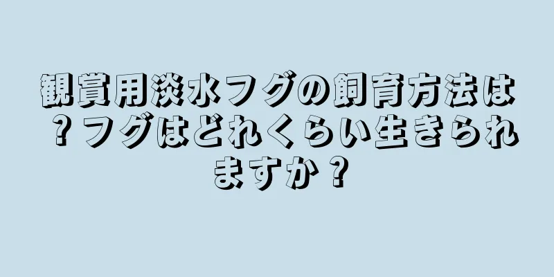 観賞用淡水フグの飼育方法は？フグはどれくらい生きられますか？