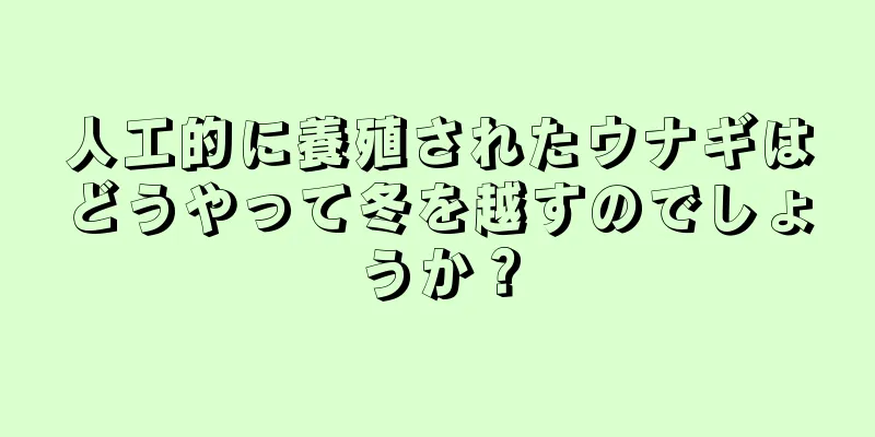 人工的に養殖されたウナギはどうやって冬を越すのでしょうか？
