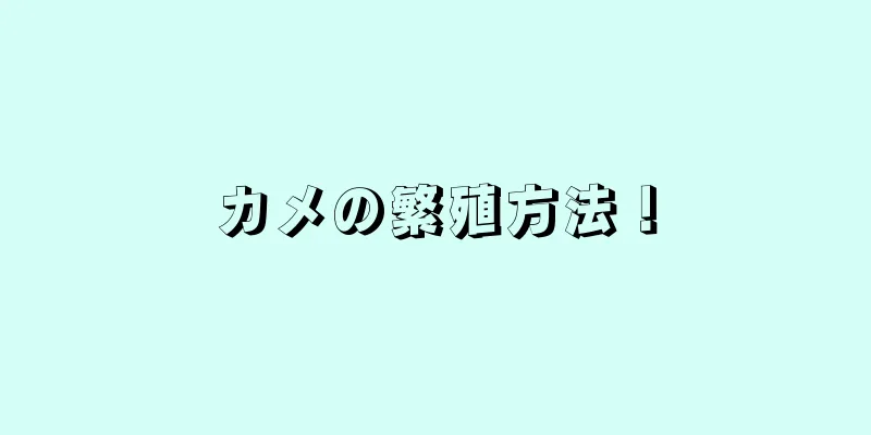カメの繁殖方法！