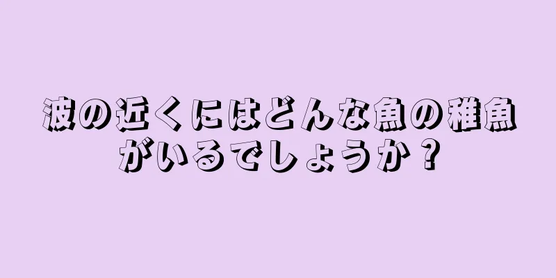 波の近くにはどんな魚の稚魚がいるでしょうか？
