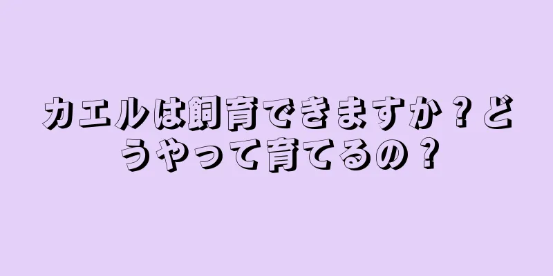 カエルは飼育できますか？どうやって育てるの？
