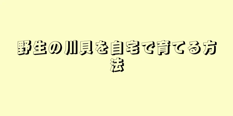 野生の川貝を自宅で育てる方法
