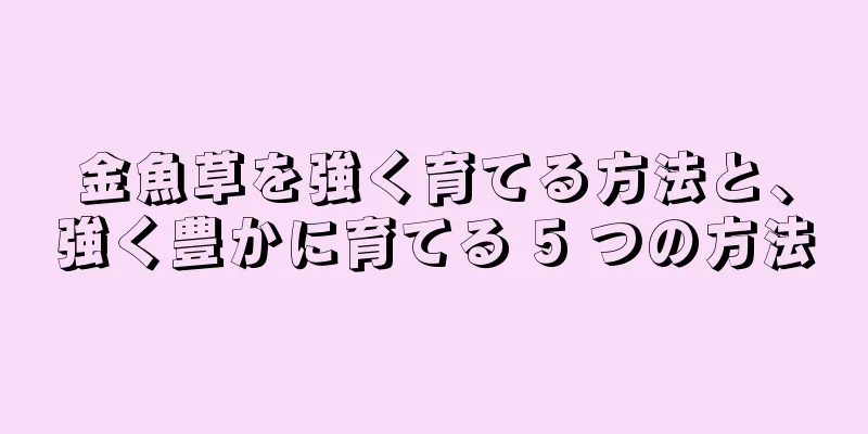 金魚草を強く育てる方法と、強く豊かに育てる 5 つの方法
