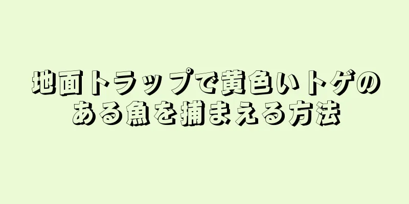 地面トラップで黄色いトゲのある魚を捕まえる方法