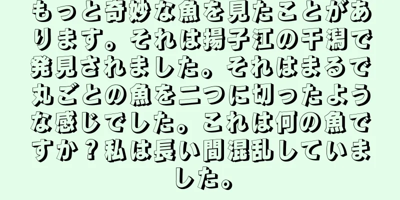 もっと奇妙な魚を見たことがあります。それは揚子江の干潟で発見されました。それはまるで丸ごとの魚を二つに切ったような感じでした。これは何の魚ですか？私は長い間混乱していました。