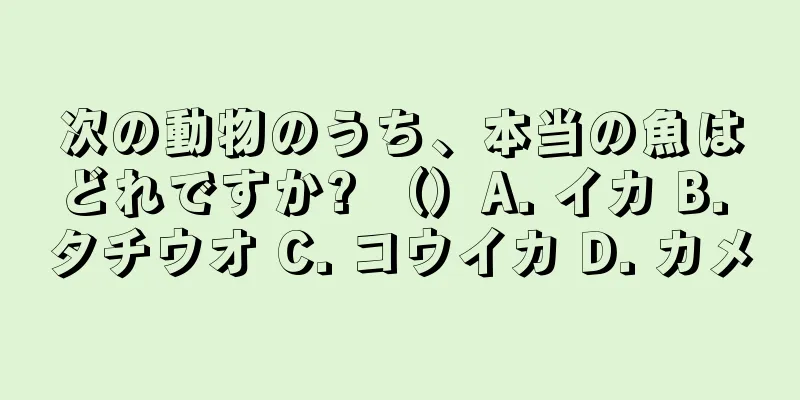 次の動物のうち、本当の魚はどれですか? （）A. イカ B. タチウオ C. コウイカ D. カメ