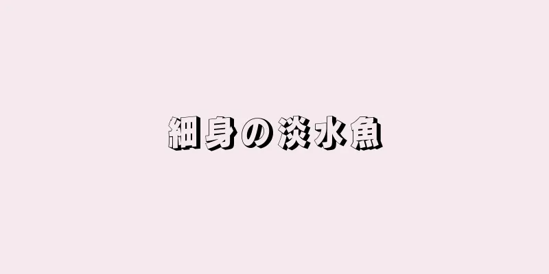 細身の淡水魚