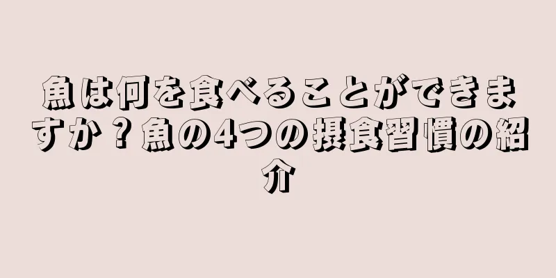 魚は何を食べることができますか？魚の4つの摂食習慣の紹介