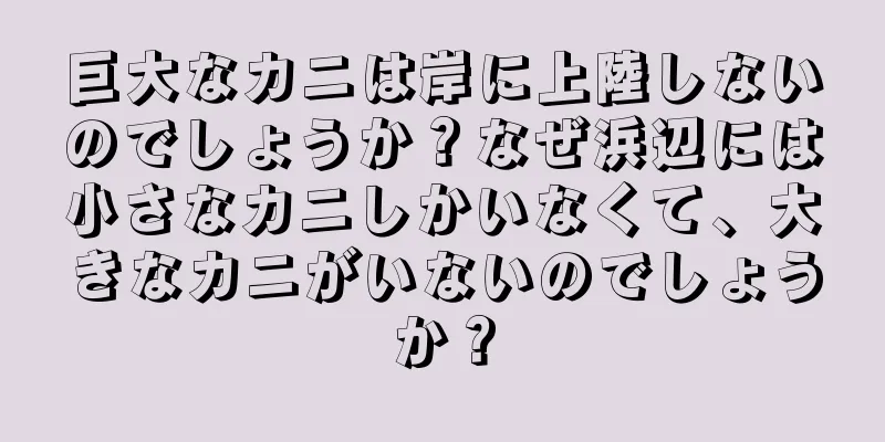 巨大なカニは岸に上陸しないのでしょうか？なぜ浜辺には小さなカニしかいなくて、大きなカニがいないのでしょうか？