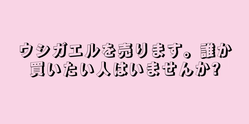 ウシガエルを売ります。誰か買いたい人はいませんか?