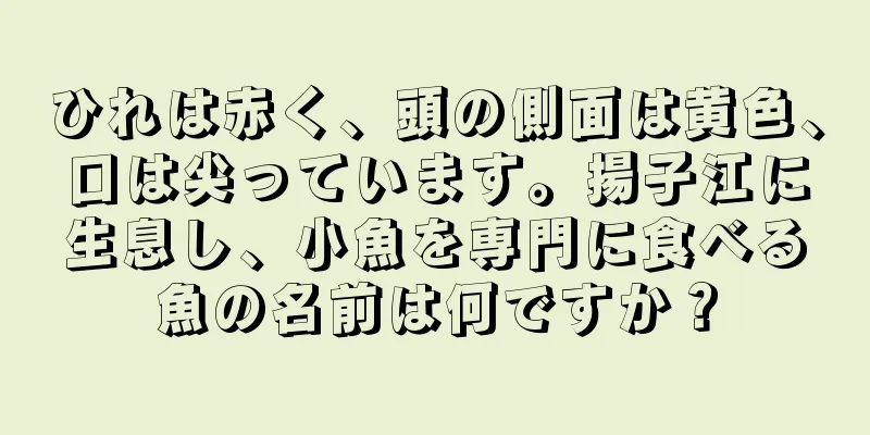 ひれは赤く、頭の側面は黄色、口は尖っています。揚子江に生息し、小魚を専門に食べる魚の名前は何ですか？