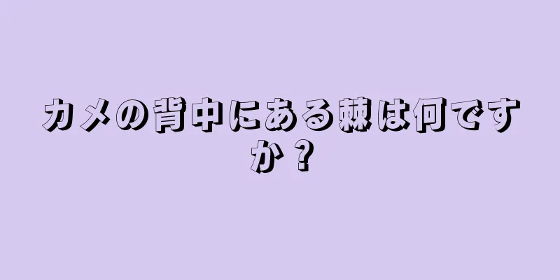 カメの背中にある棘は何ですか？