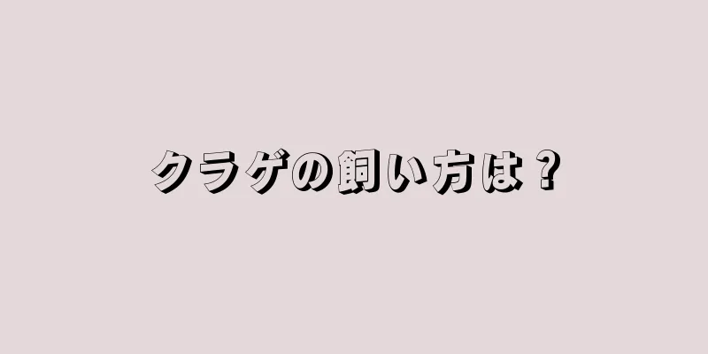 クラゲの飼い方は？