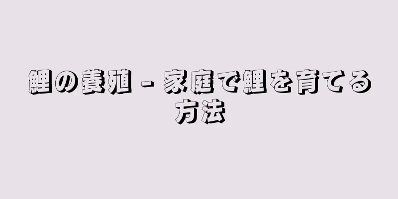 鯉の養殖 - 家庭で鯉を育てる方法
