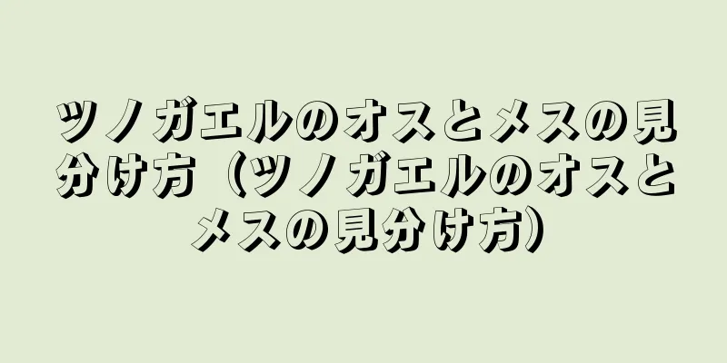 ツノガエルのオスとメスの見分け方（ツノガエルのオスとメスの見分け方）