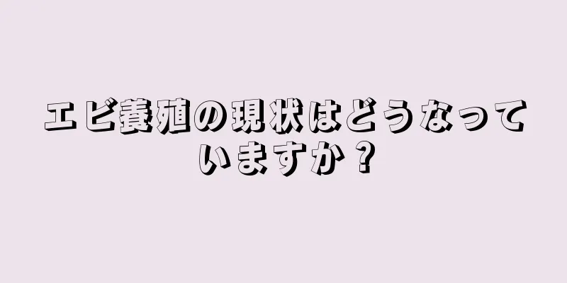 エビ養殖の現状はどうなっていますか？
