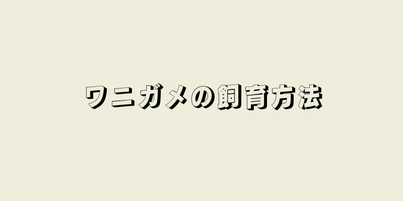 ワニガメの飼育方法