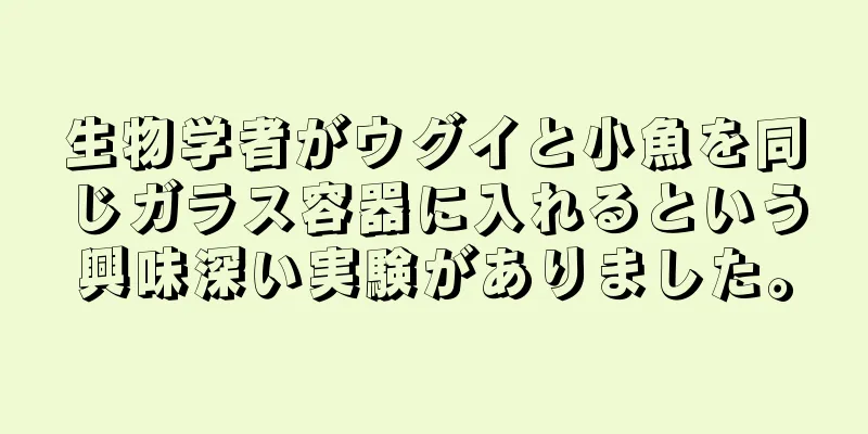 生物学者がウグイと小魚を同じガラス容器に入れるという興味深い実験がありました。