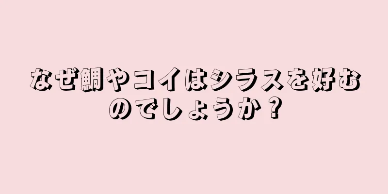 なぜ鯛やコイはシラスを好むのでしょうか？