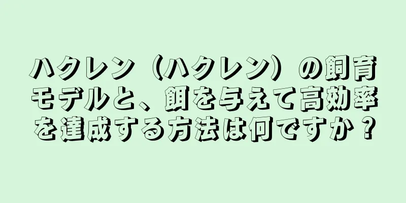 ハクレン（ハクレン）の飼育モデルと、餌を与えて高効率を達成する方法は何ですか？