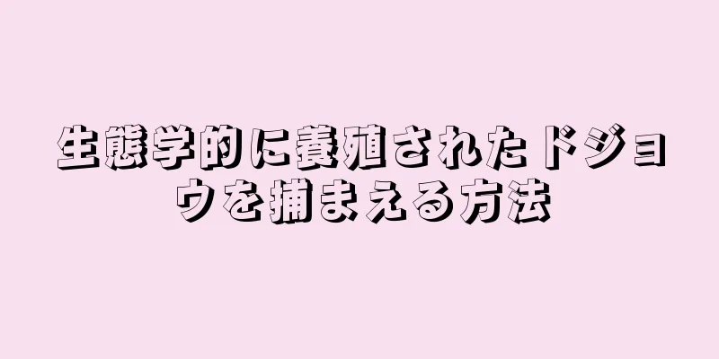 生態学的に養殖されたドジョウを捕まえる方法