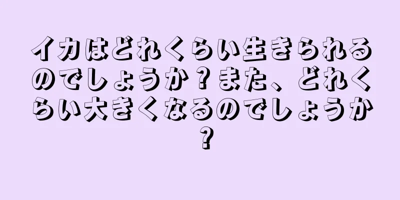 イカはどれくらい生きられるのでしょうか？また、どれくらい大きくなるのでしょうか？