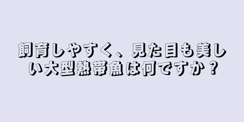 飼育しやすく、見た目も美しい大型熱帯魚は何ですか？