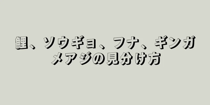 鯉、ソウギョ、フナ、ギンガメアジの見分け方