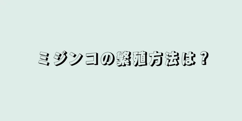 ミジンコの繁殖方法は？