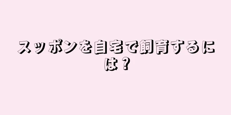 スッポンを自宅で飼育するには？