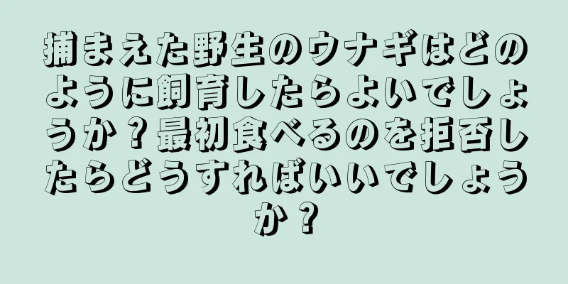 捕まえた野生のウナギはどのように飼育したらよいでしょうか？最初食べるのを拒否したらどうすればいいでしょうか？