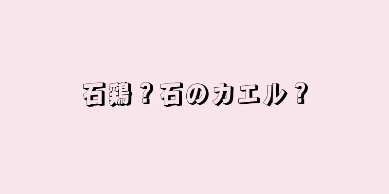石鶏？石のカエル？